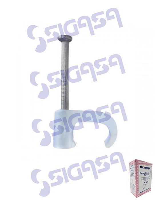 GRAPA PLANA  TC  6 x 10 ROSA THORSMAN POT 12-14